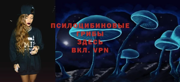 гидропоника Абаза