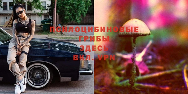 гидропоника Абаза