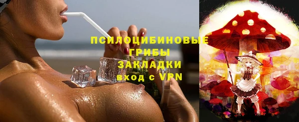 гидропоника Абаза