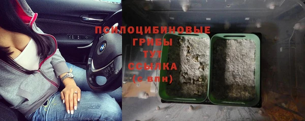 гидропоника Абаза